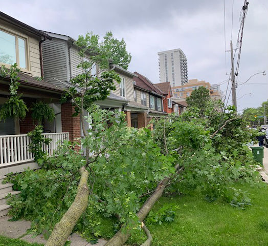 Belyea Bros Limited | 2 Thorncliffe Park Dr #24, East York, ON M4H 1H2, Canada | Phone: (416) 425-1200