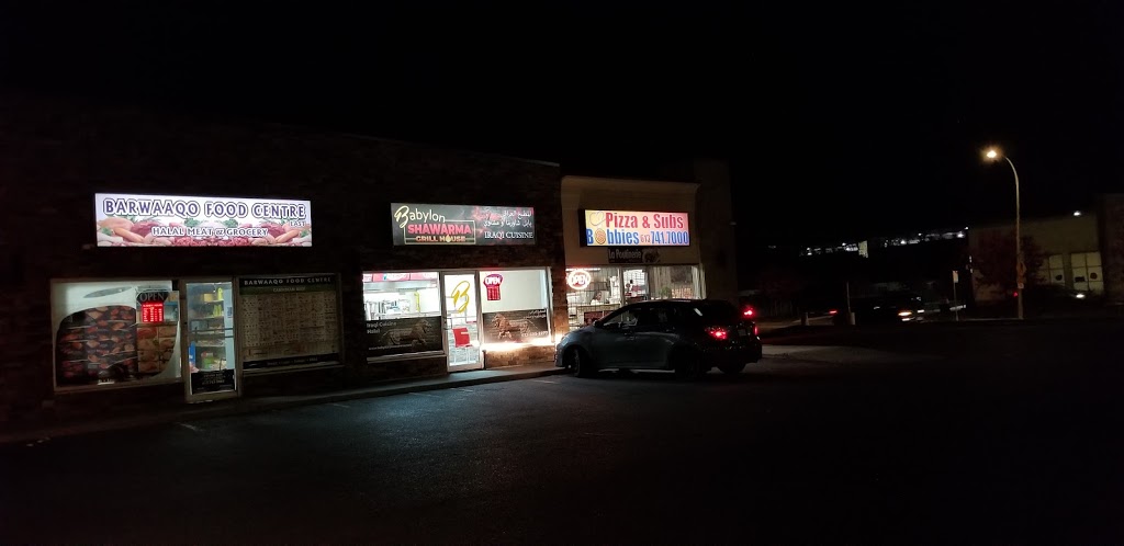 Babylon Shawarma | 1441 Ogilvie Rd, Gloucester, ON K1J 7P3, Canada | Phone: (613) 695-2277