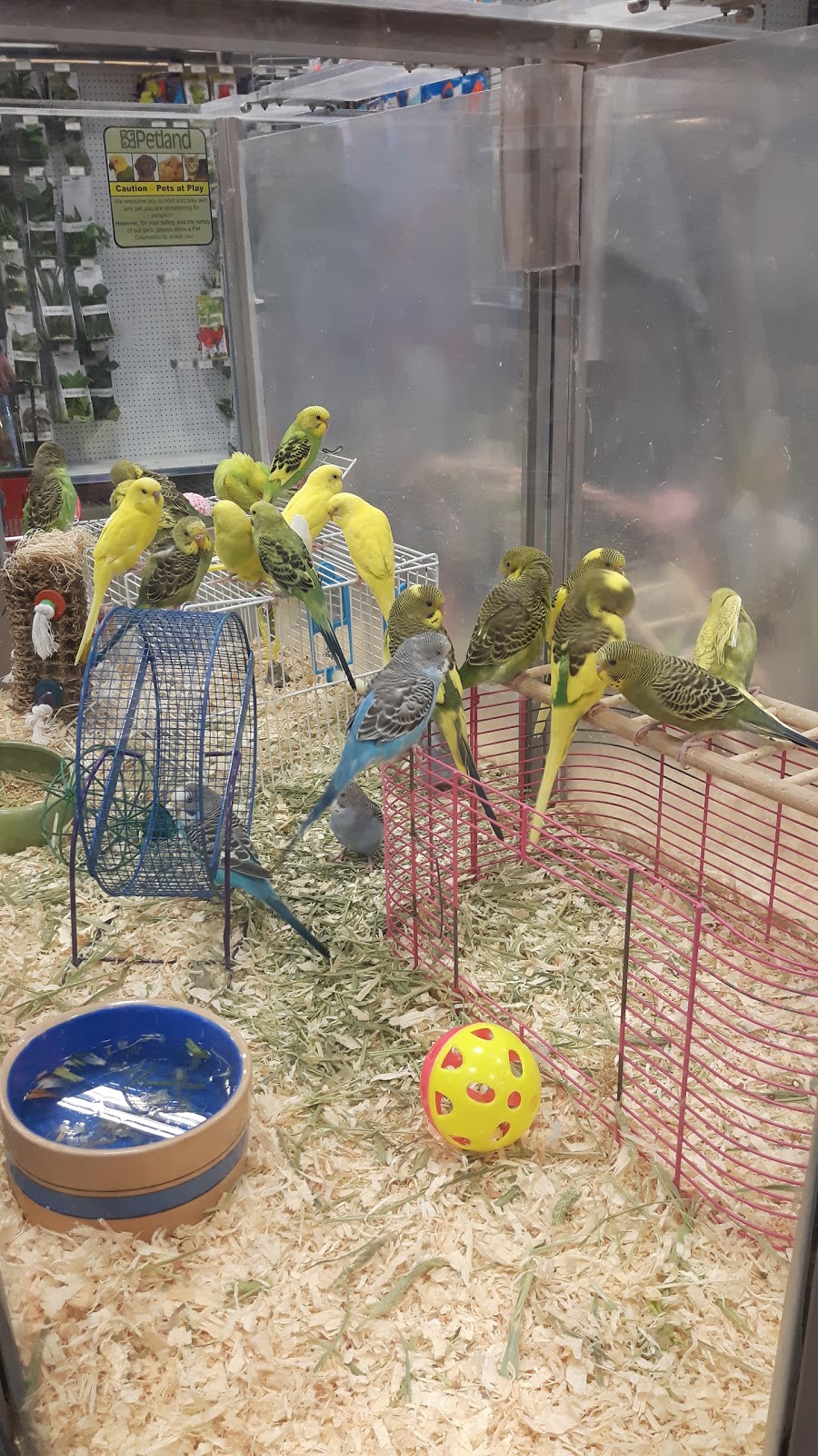 Petland | 3047 Clarence Ave S, Saskatoon, SK S7T 0B4, Canada | Phone: (306) 934-3920