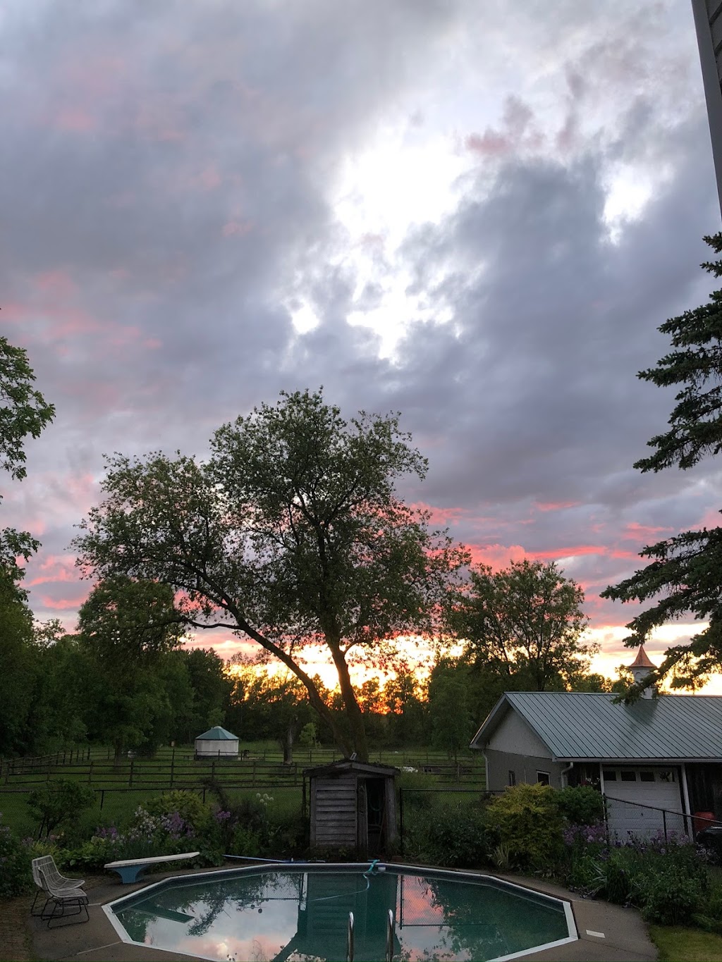 The Elmbrook Farm | 339 Elmbrook Rd, Picton, ON K0K 2T0, Canada | Phone: (416) 618-6354