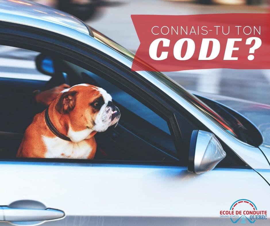 École de conduite Quebec | Longueuil | 1210 Chemin de Chambly, Longueuil, QC J4J 3W6, Canada | Phone: (450) 646-0808