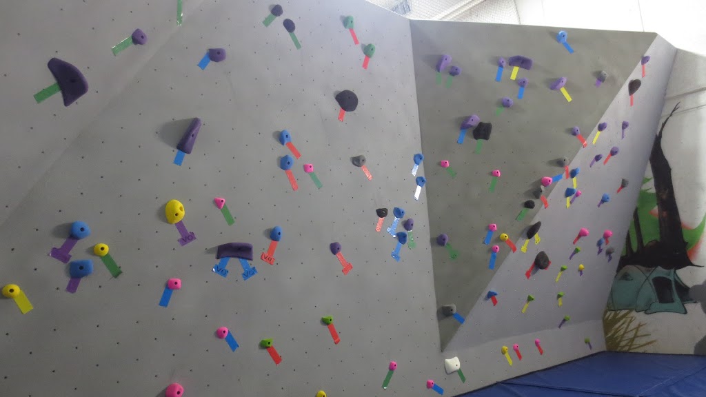 High Performance Climbing Walls | 1400 Cowichan Bay Rd #19, Cobble Hill, BC V0R 1L3, Canada | Phone: (778) 654-3362