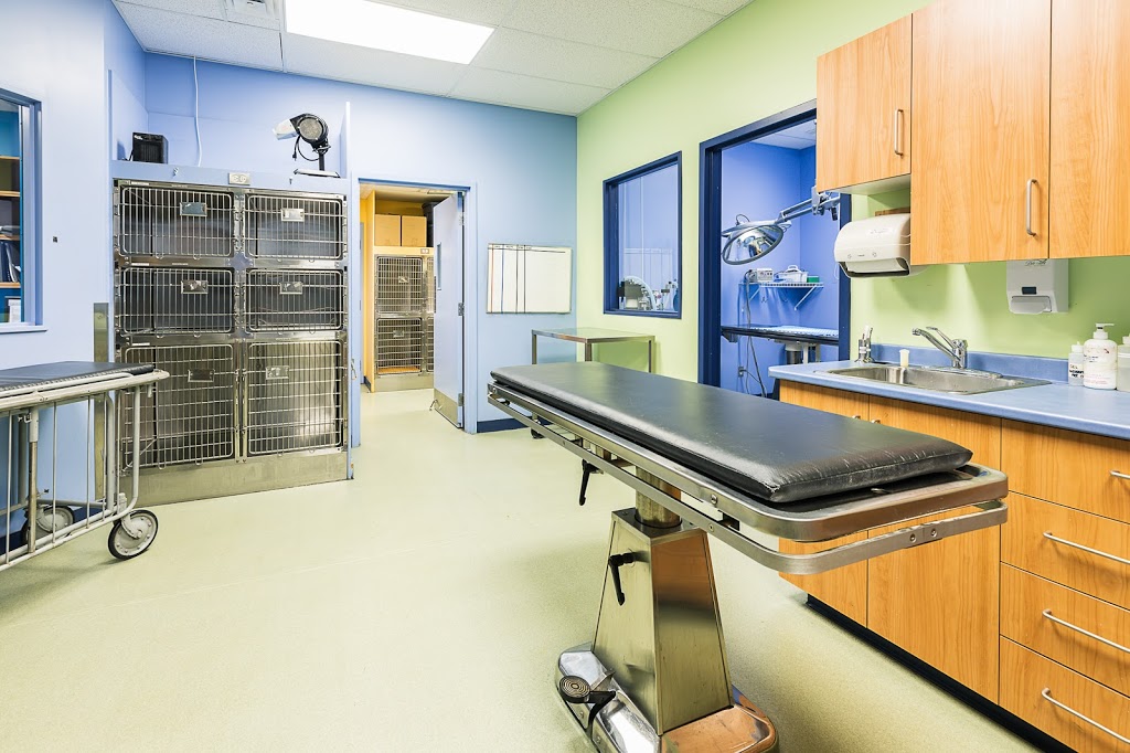 Globalvet - Veterinary Clinic Loretteville | 10935 Boulevard de lOrmière, Québec, QC G2B 3L5, Canada | Phone: (418) 842-5048