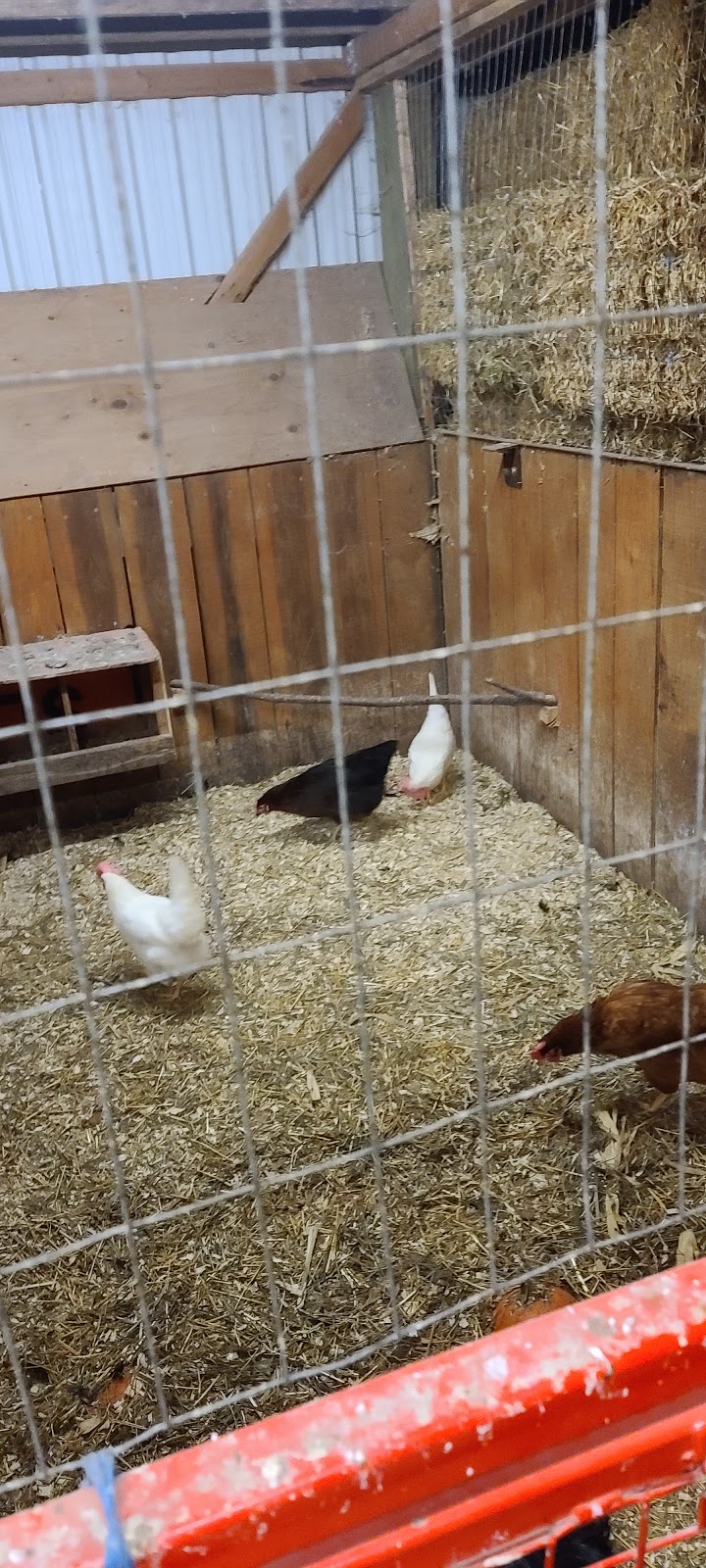 Warner Ranch & Pumpkin Farm | 7705 Schisler Rd, Welland, ON L3B 5N4, Canada | Phone: (905) 384-2684