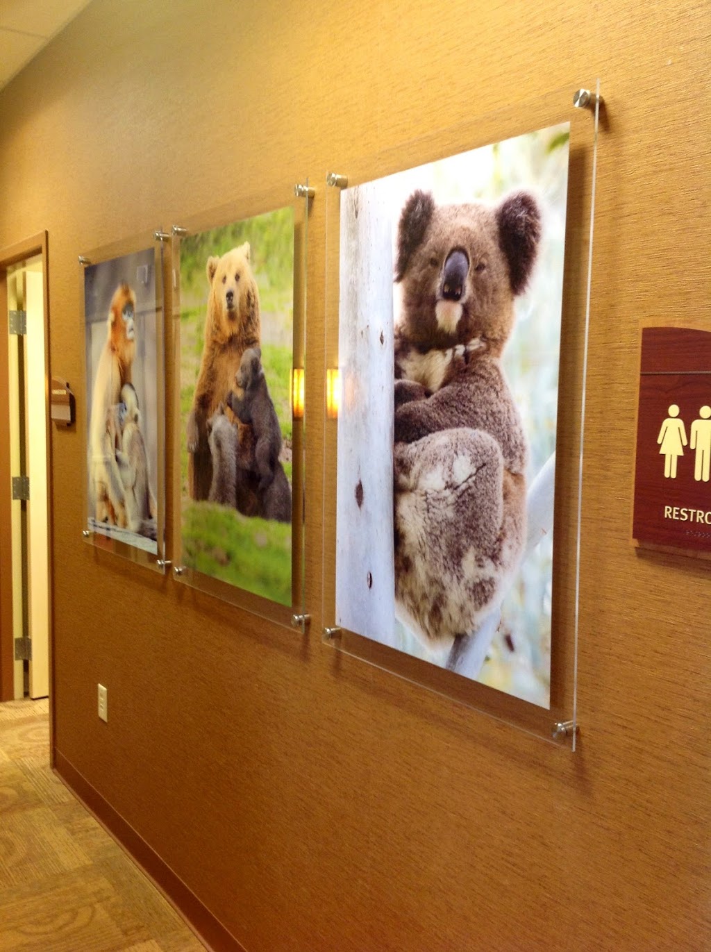 Rider Frames & Gallery | 3915 N Buffalo St, Orchard Park, NY 14127, USA | Phone: (716) 662-5949
