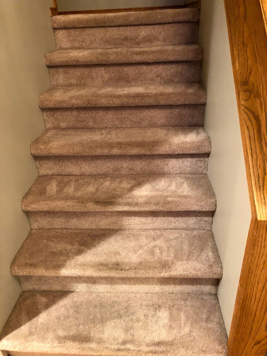 Super Value Home Services | 1485 Erin St, Winnipeg, MB R3E 2S9, Canada | Phone: (204) 982-6930