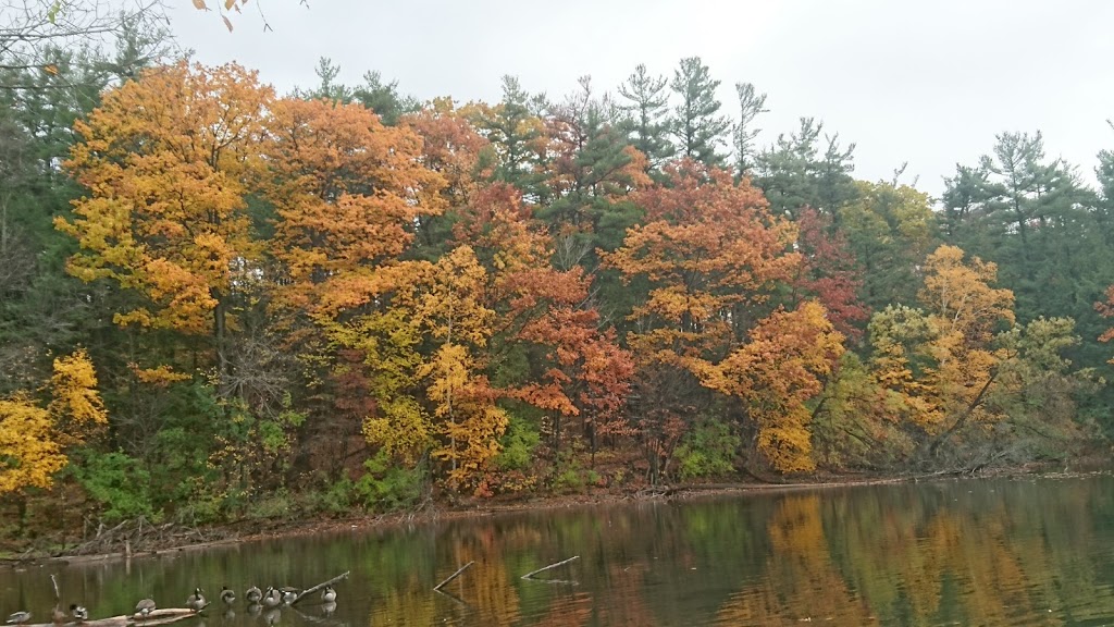 Ozark Park | 24 Antique Dr, Richmond Hill, ON L4E 3X5, Canada | Phone: (905) 771-8800