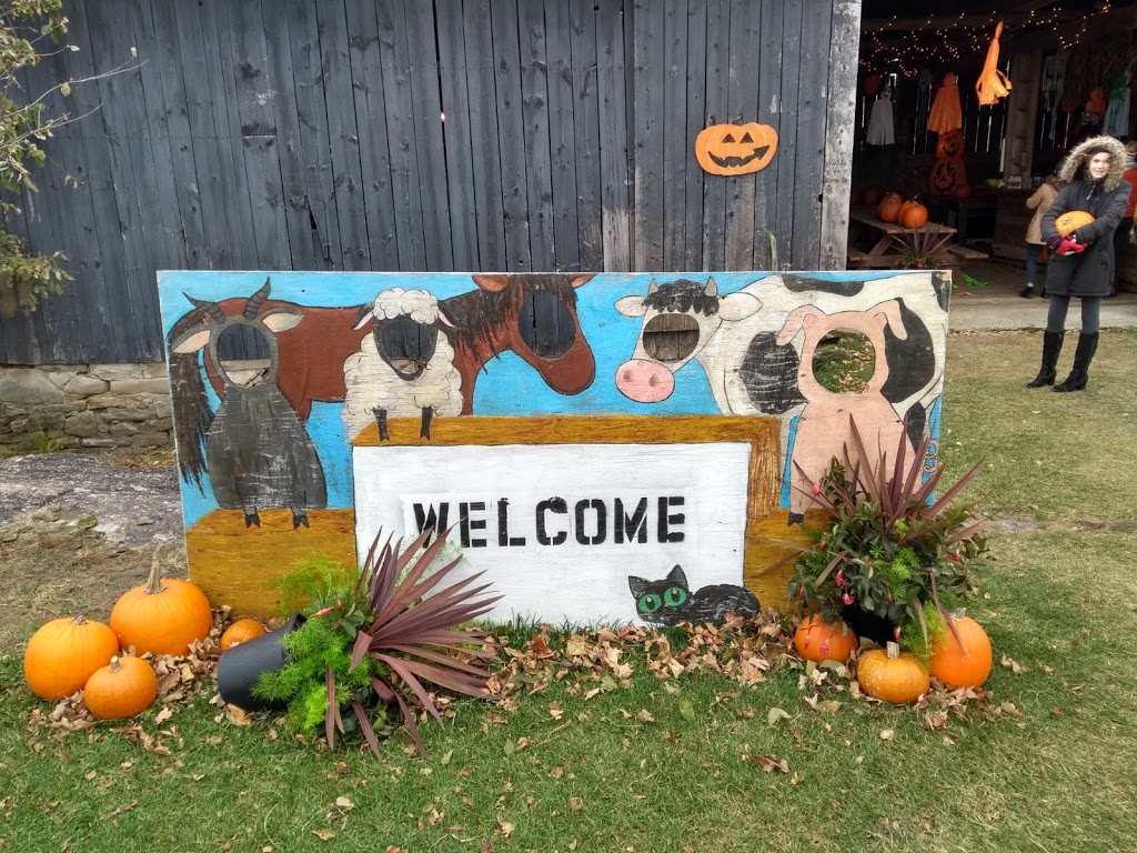 Geobern Farm - The James | 2634 Rosetta Rd, Lanark, ON K0G 1K0, Canada | Phone: (613) 256-1585