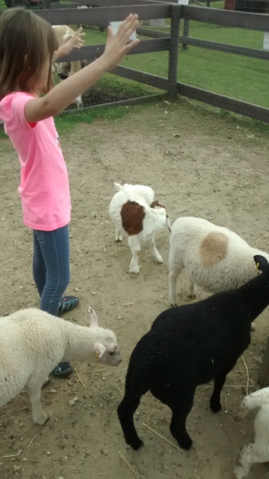 Country Fun | Prince Albert No. 461, SK S0J 3H0, Canada | Phone: (306) 763-3439