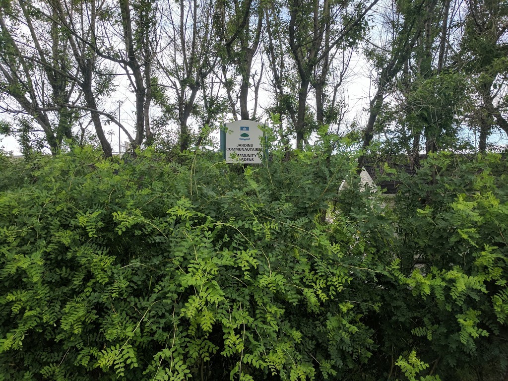 Community Garden | Avenue Brittany, Mont-Royal, QC H3P 3G5, Canada