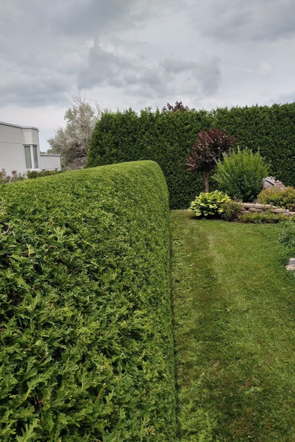 Les Haies Samplait | 18 Rang Saint-André, Saint-Mathieu, QC J0L 2H0, Canada | Phone: (514) 531-3093