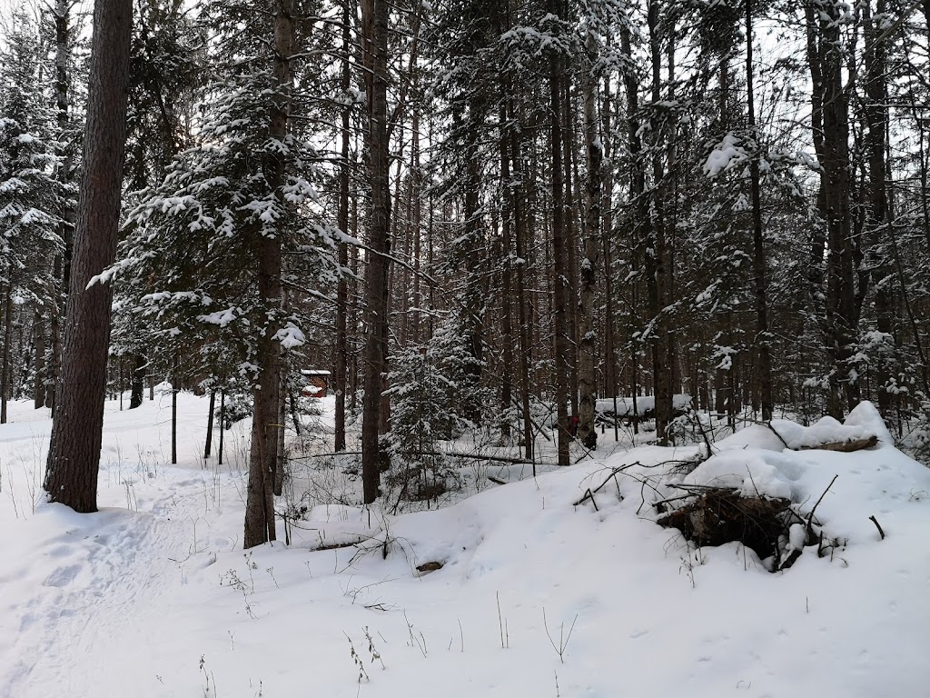 LV Four Seasons Trail | 2 Henan Rd, Pembroke, ON K8A 6W8, Canada | Phone: (613) 735-6291