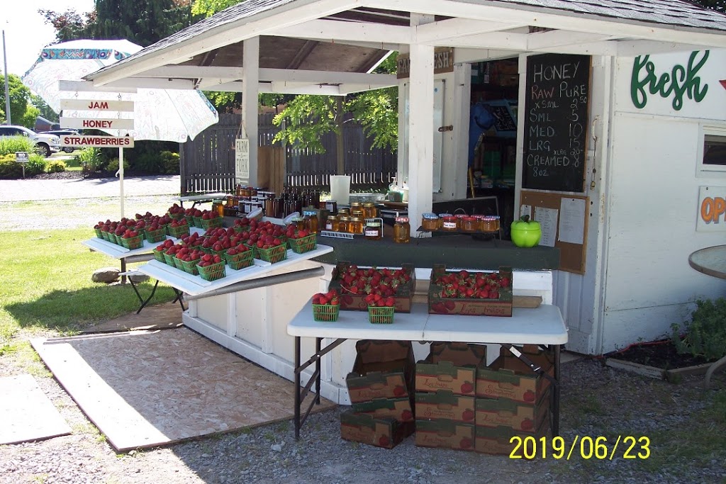 Fruit-Stand-on-Mountain | 6680 Mountain Rd, Niagara Falls, ON L2J 0B5, Canada | Phone: (905) 374-6342