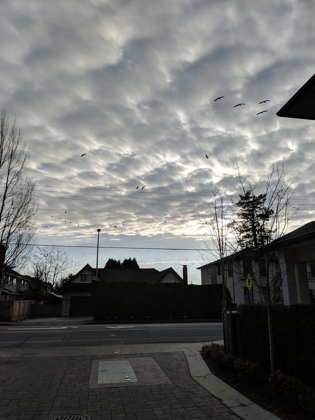 London Park | 6440 Williams Rd, Richmond, BC V7E, Canada | Phone: (604) 668-6668