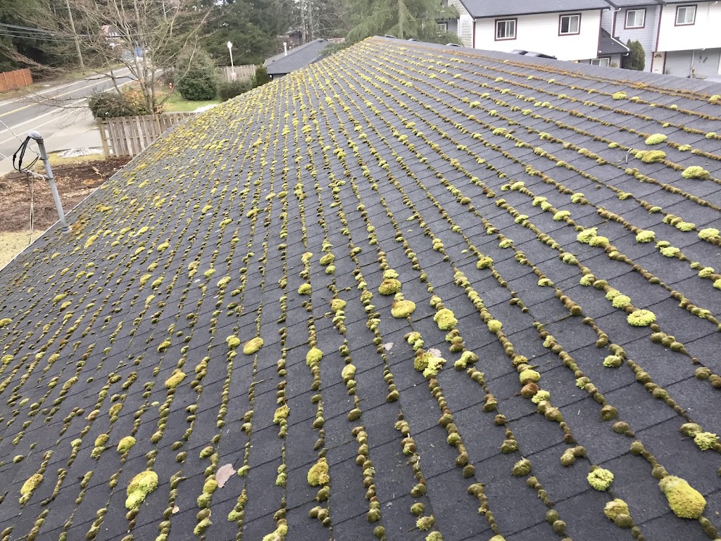 Tartan Window Cleaning | 2110B Lake Trail Rd, Courtenay, BC V9N 9C3, Canada | Phone: (250) 266-2442