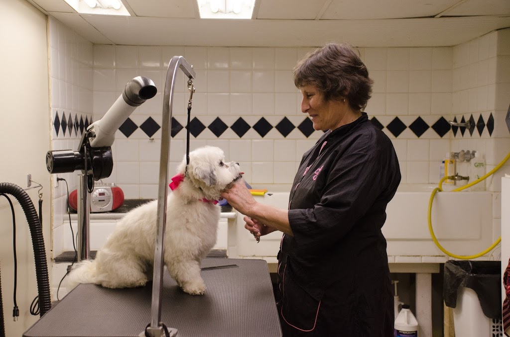 Firth Veterinary Hospital | 4499 Wellington Rd S, London, ON N6E 2Z8, Canada | Phone: (519) 681-4377