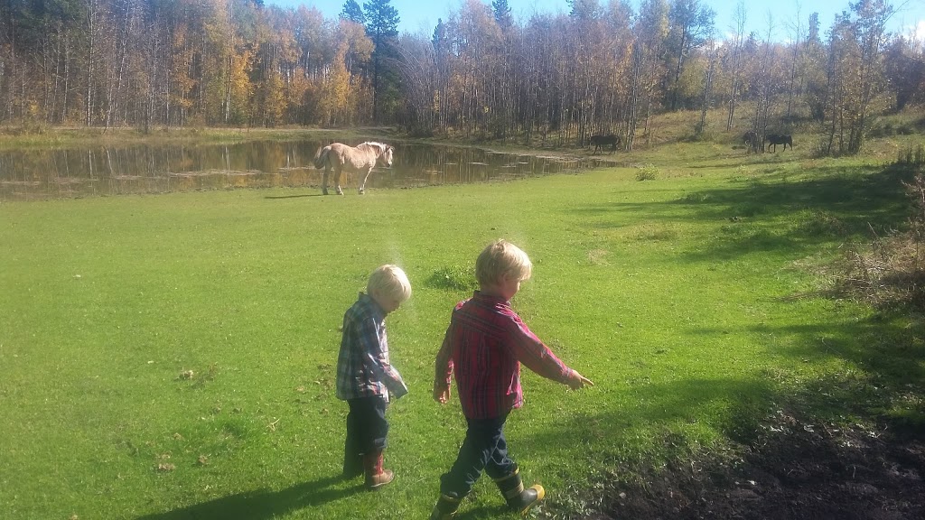 Homeplace Ranch | Foothills No. 31, AB T0L 1W0, Canada | Phone: (403) 969-4444