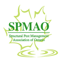 Pest B Gone Inc. | 193 Snowshoe Crescent, Markham, ON L3T 4N1, Canada | Phone: (289) 597-2847