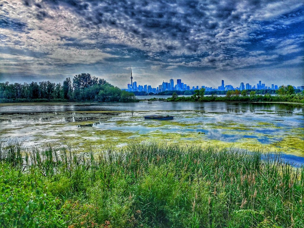 Environmental Outdoor Classroom | Unnamed Road, Toronto, ON M4M, Canada