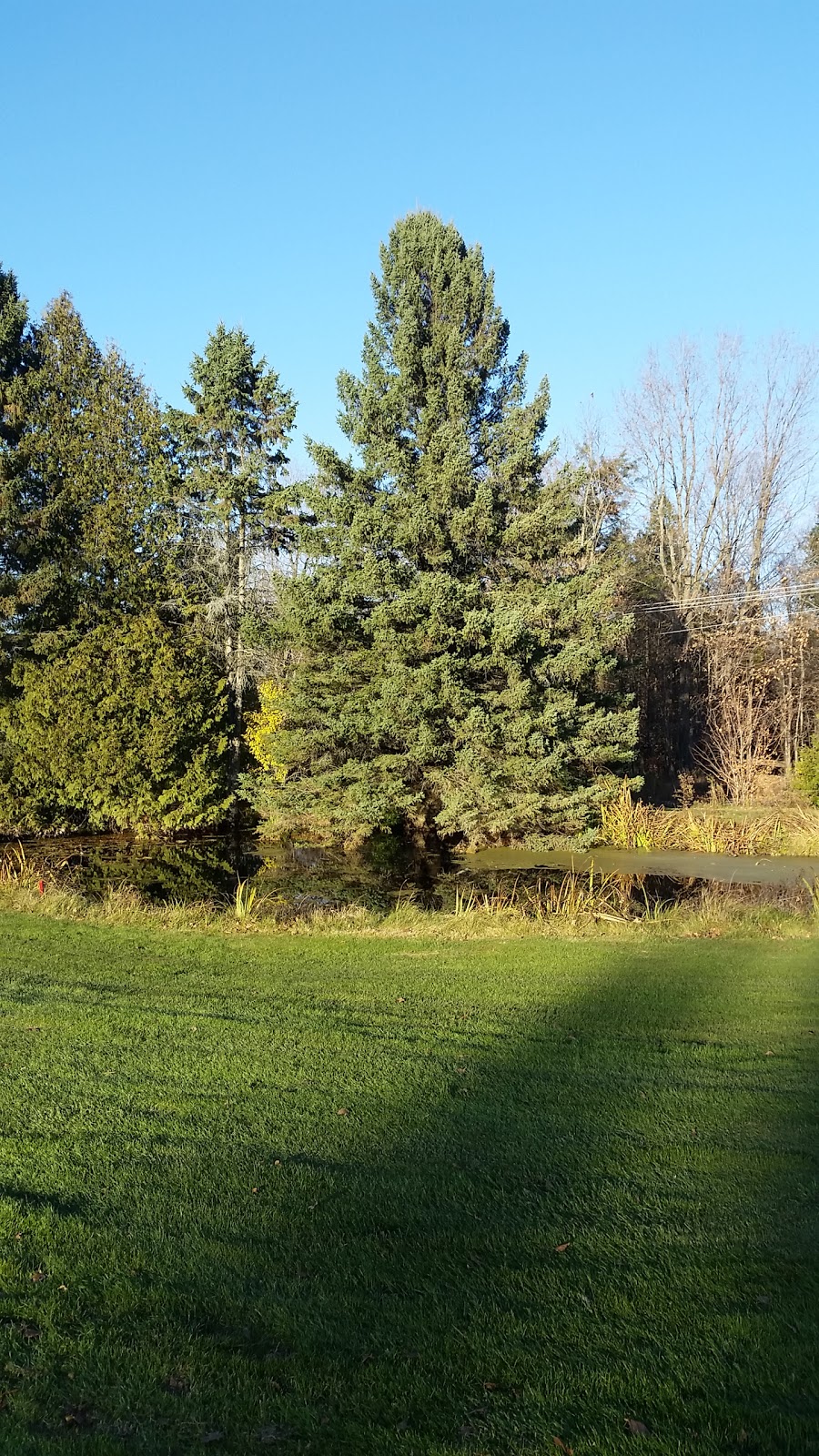 Shanty Bay Golf Club | 322 Oro-Medonte Line 2, Shanty Bay, ON L0L 2L0, Canada | Phone: (705) 721-1922