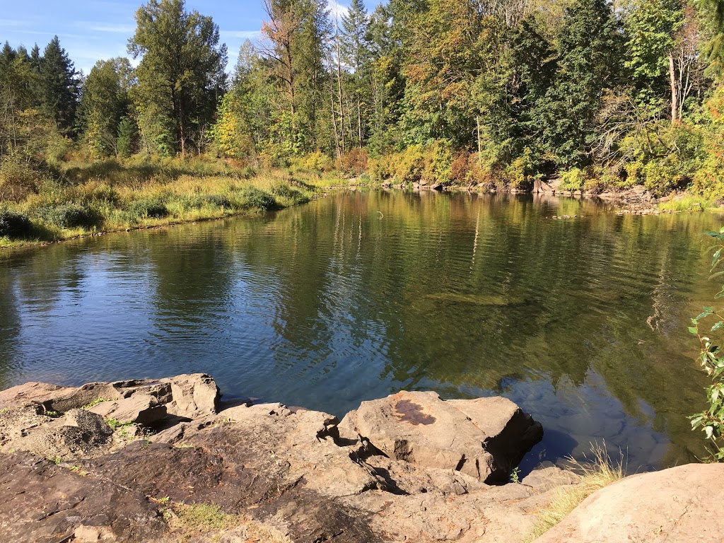 Nanaimo River Regional Park | Nanaimo A, BC V9X 1T2, Canada | Phone: (250) 248-3252