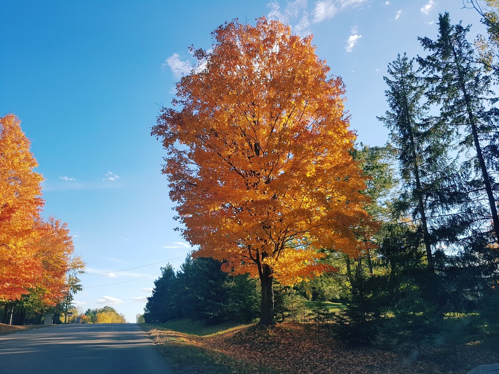 Palgrave Park | 17255 Mt Hope Rd, Palgrave, ON L7E 3L9, Canada | Phone: (905) 584-2272