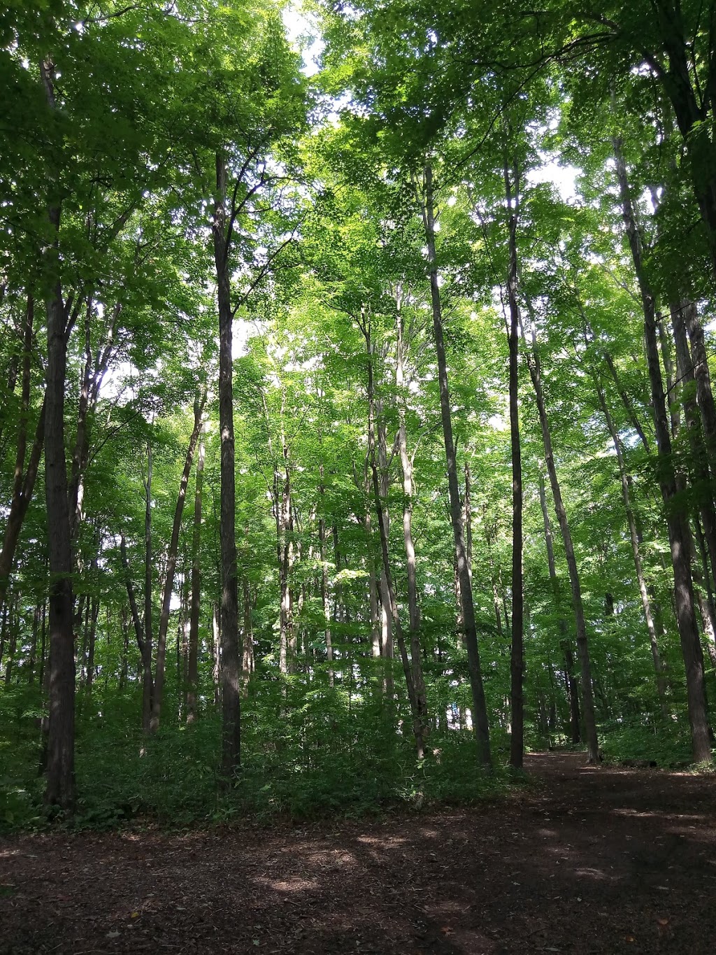 West Ridge Park | 900 W Ridge Blvd, Orillia, ON L3V 7X1, Canada