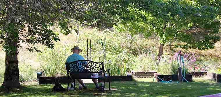The Willows - A LifeMinded Residence - Bellingham Retirement Com | 3115 Squalicum Pkwy, Bellingham, WA 98225, USA | Phone: (360) 671-7077