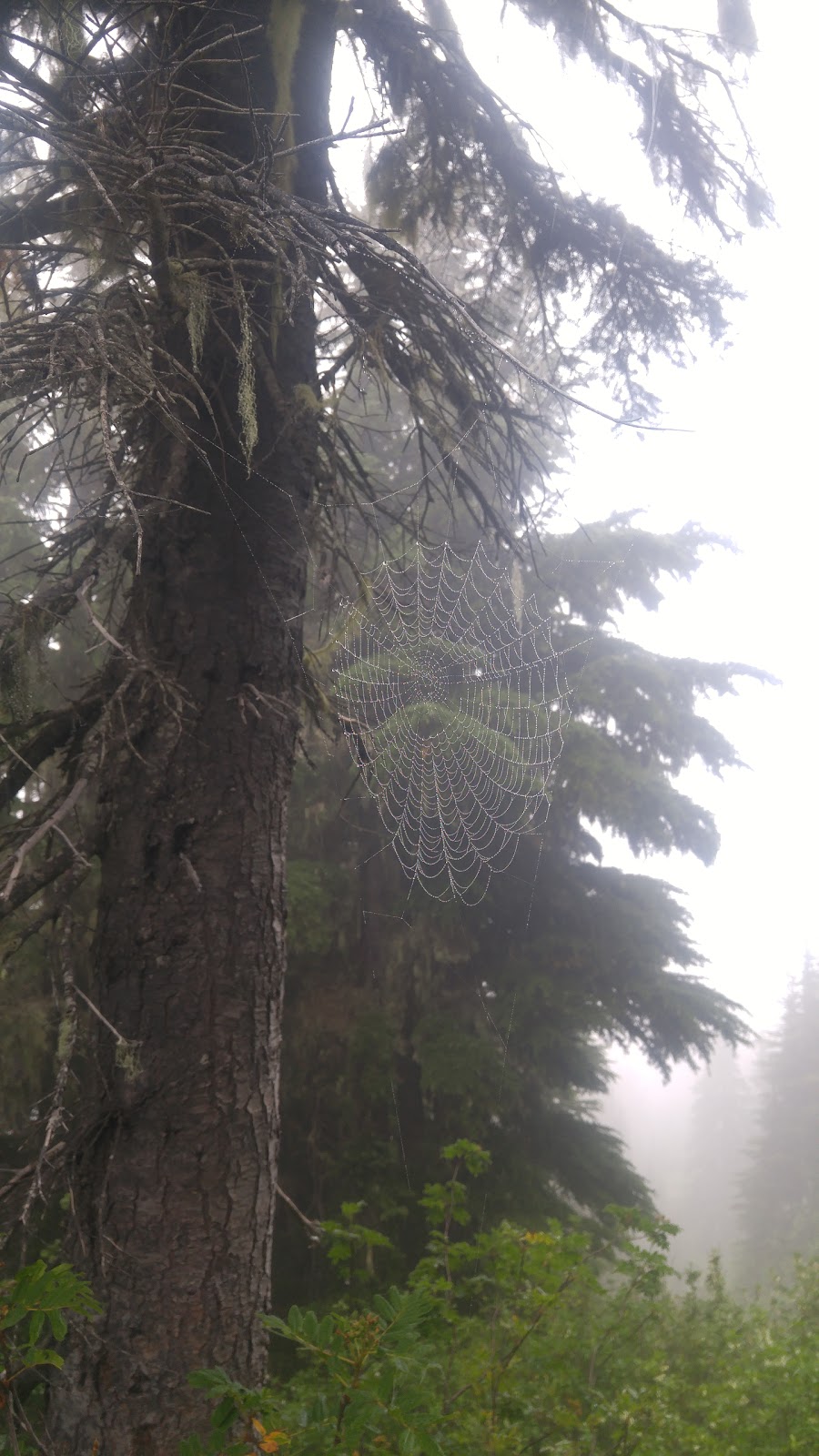 Liumchen Ecological Reserve | Rosedale, BC V0X 1X0, Canada | Phone: (800) 689-9025