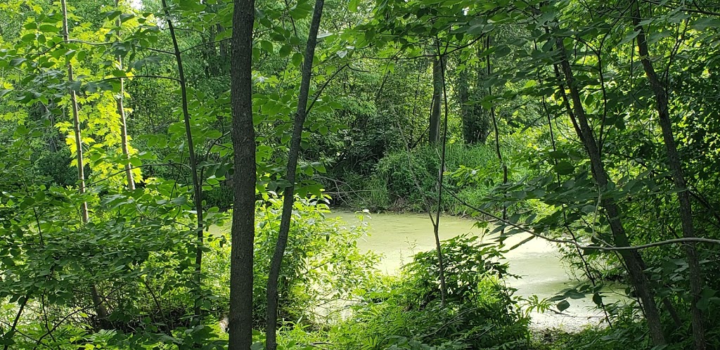 Centre dinterprétation du Ruisseau McFee | 703 Avenue de Venise O, Venise-en-Québec, QC J0J 2K0, Canada