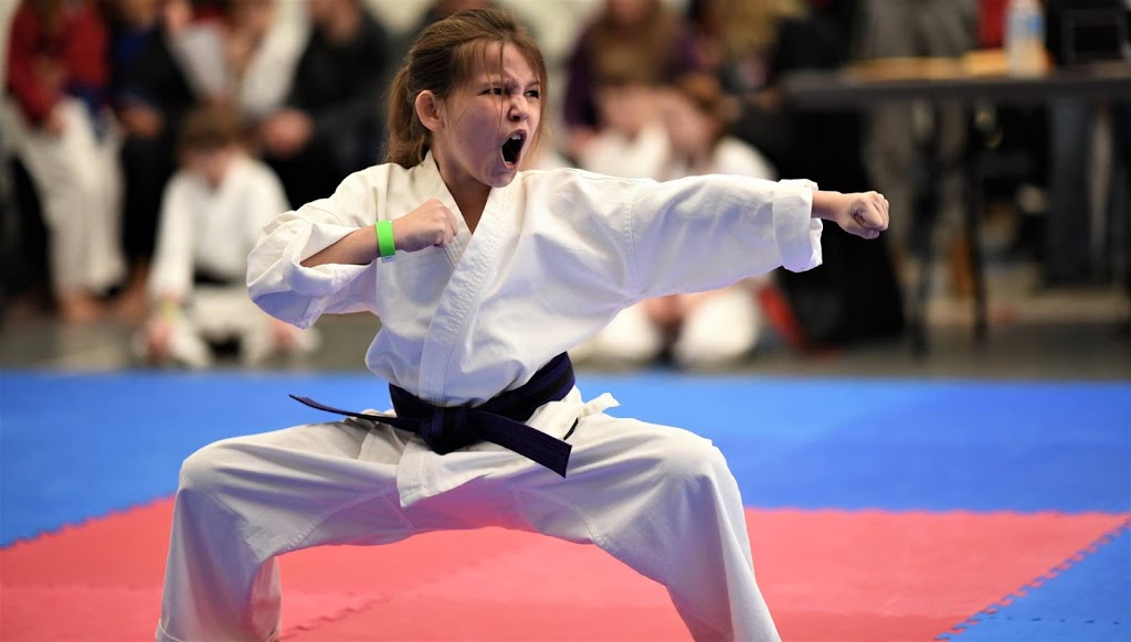Bernardo Karate And Cardio Kickboxing | 1165 Oxford St E, London, ON N5Y 3L7, Canada | Phone: (519) 659-2504