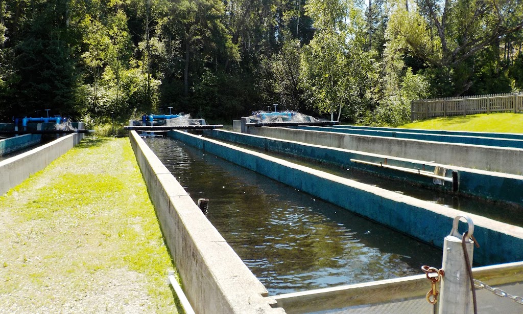 Whiteshell Fish Hatchery | MB-312, Whiteshell, MB R0E 2H0, Canada | Phone: (204) 369-3157