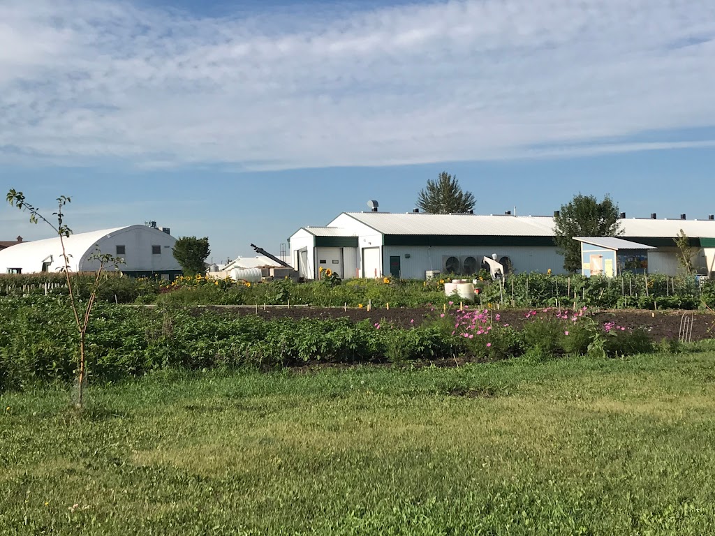 Prairie Urban Farm | 118 St NW, Edmonton, AB T6H 2V8, Canada | Phone: (780) 492-4598