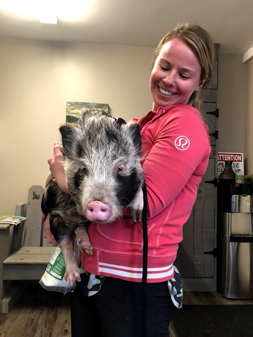 Barrett Veterinary Practice | 4 Railway Ave E Box 406, Dalemead, AB T0J 0V0, Canada | Phone: (403) 860-5763