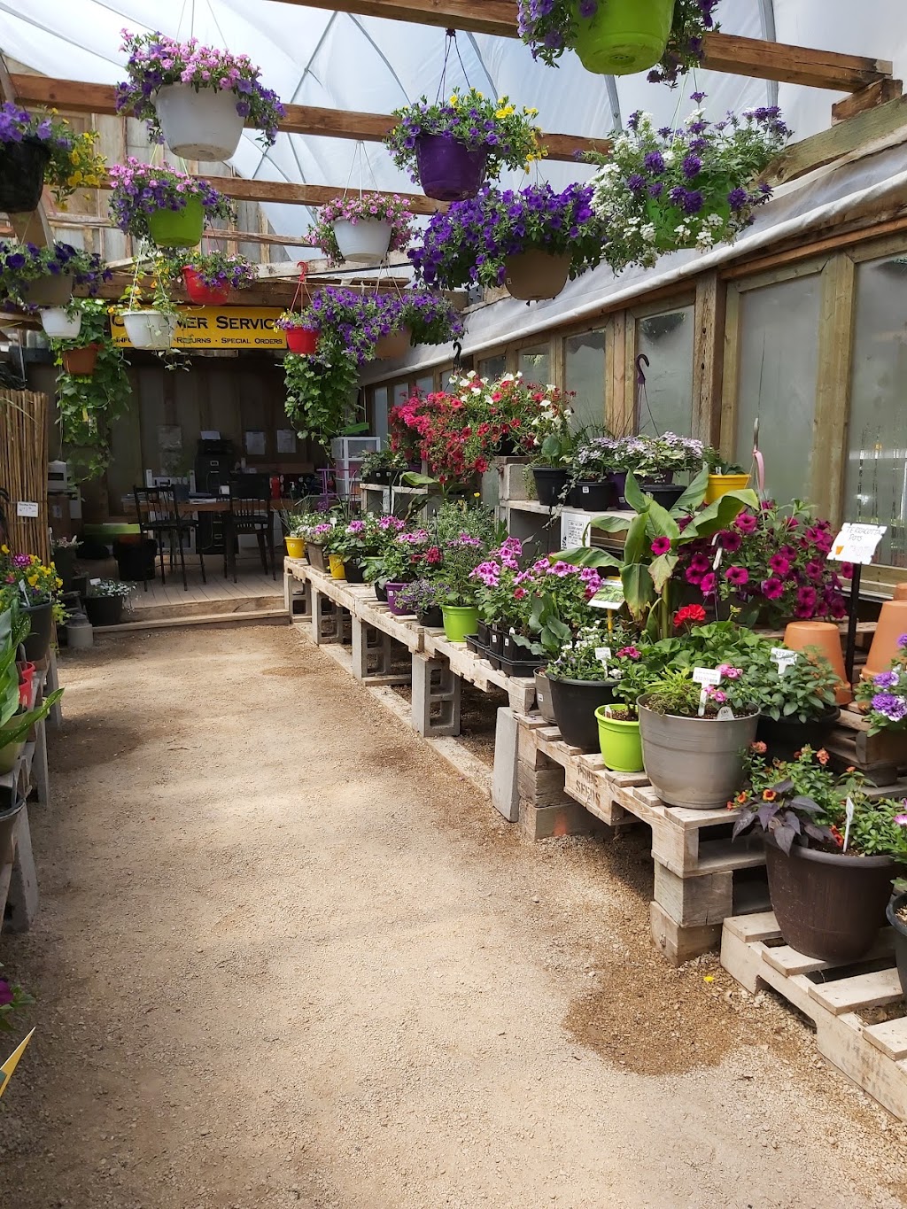Falk Nurseries | 23062 PR 311, New Bothwell, MB R0A 1C0, Canada | Phone: (204) 388-4927