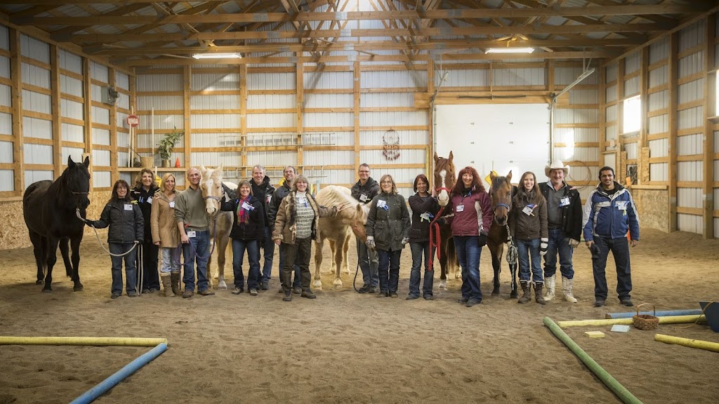 Equine Connection - The Academy of Equine Assisted Learning | 264039a Township Rd 224, Carseland, AB T0J 0M0, Canada | Phone: (403) 560-1153