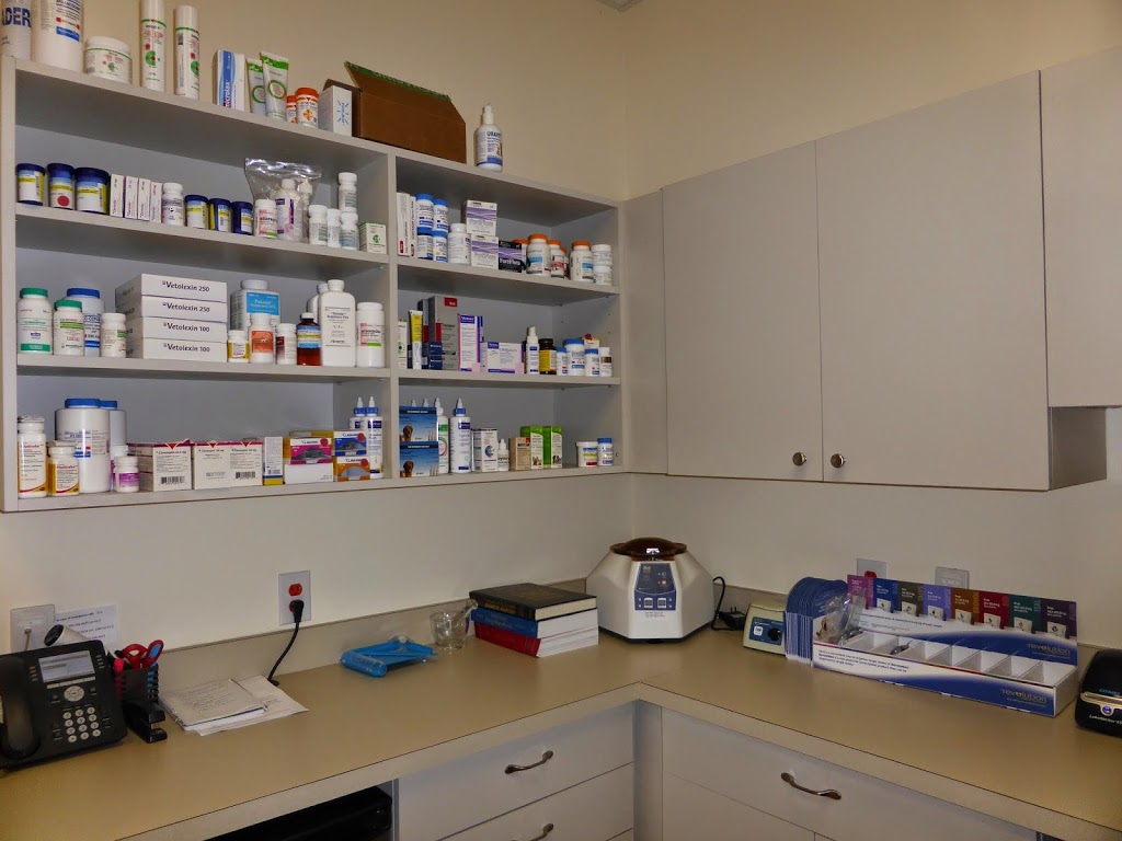 Upper Ottawa Animal Hospital | 868 Mohawk Rd E, Hamilton, ON L8T 2R5, Canada | Phone: (905) 388-0770