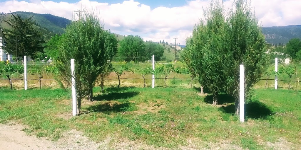 XR family campground | 285 Green Mountain Rd, Penticton, BC V2A 0E1, Canada | Phone: (250) 809-1387