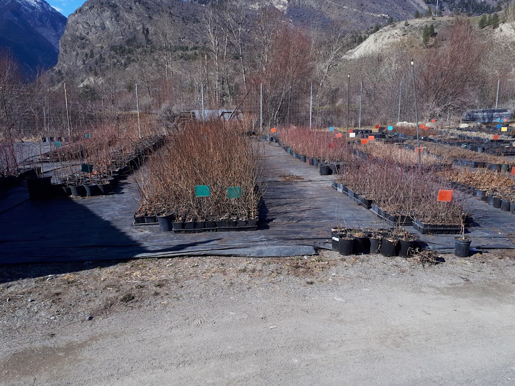 Splitrock Environmental | South 1119, BC-99, Lillooet, BC V0K 1V0, Canada | Phone: (250) 256-0002