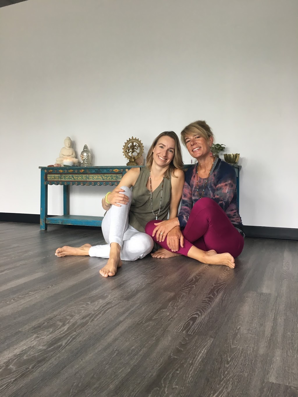 The Shed - Espace Yoga | 117 Chemin de la Pointe N, Verdun, QC H3E 1Y1, Canada | Phone: (514) 965-3644