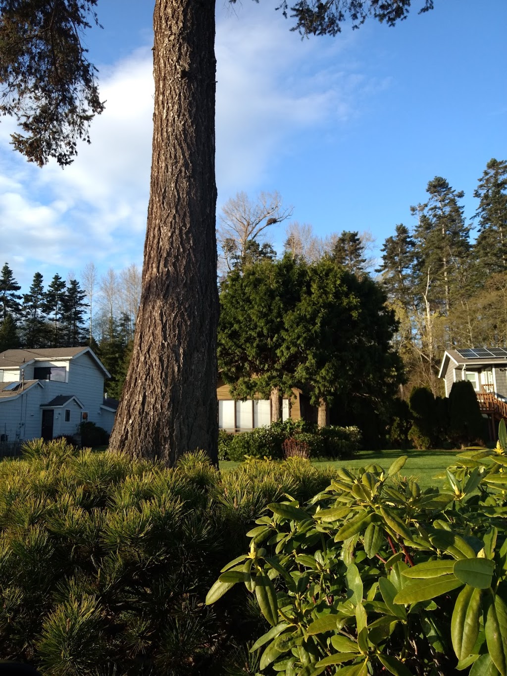 North Bay Park | 4980 Morgan Dr, Blaine, WA 98230, USA | Phone: (360) 371-2304