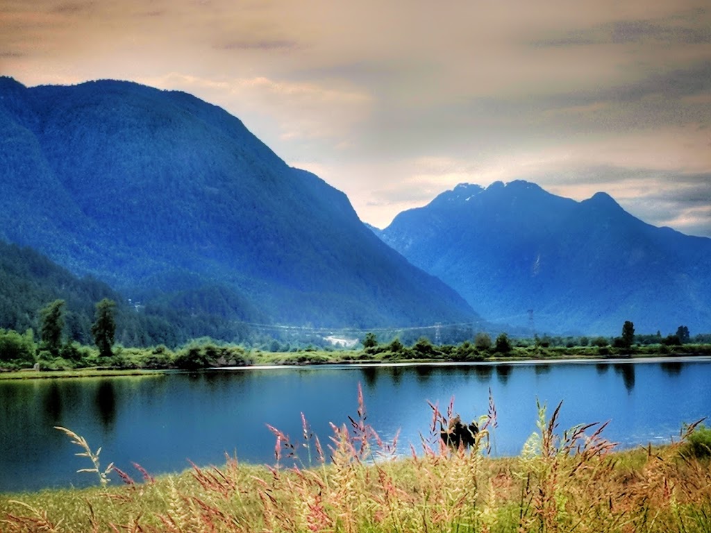 Northlands Equestrian Centre Ltd | 15213 Harris Rd, Pitt Meadows, BC V3Y 1Z1, Canada | Phone: (604) 290-6934