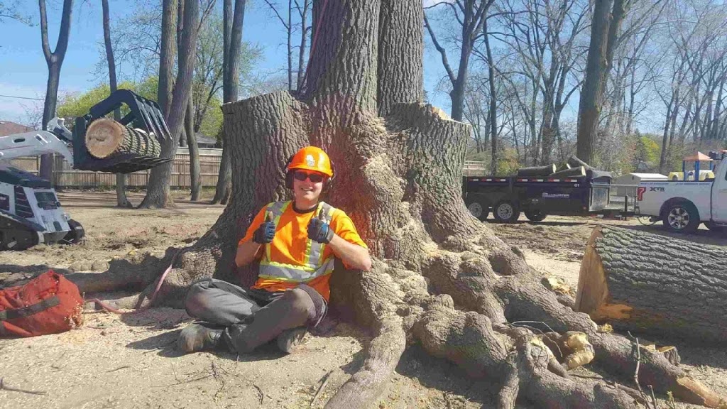 Wyoming Tree Service | 499 Plympton St, Wyoming, ON N0N 1T0, Canada | Phone: (519) 845-0847