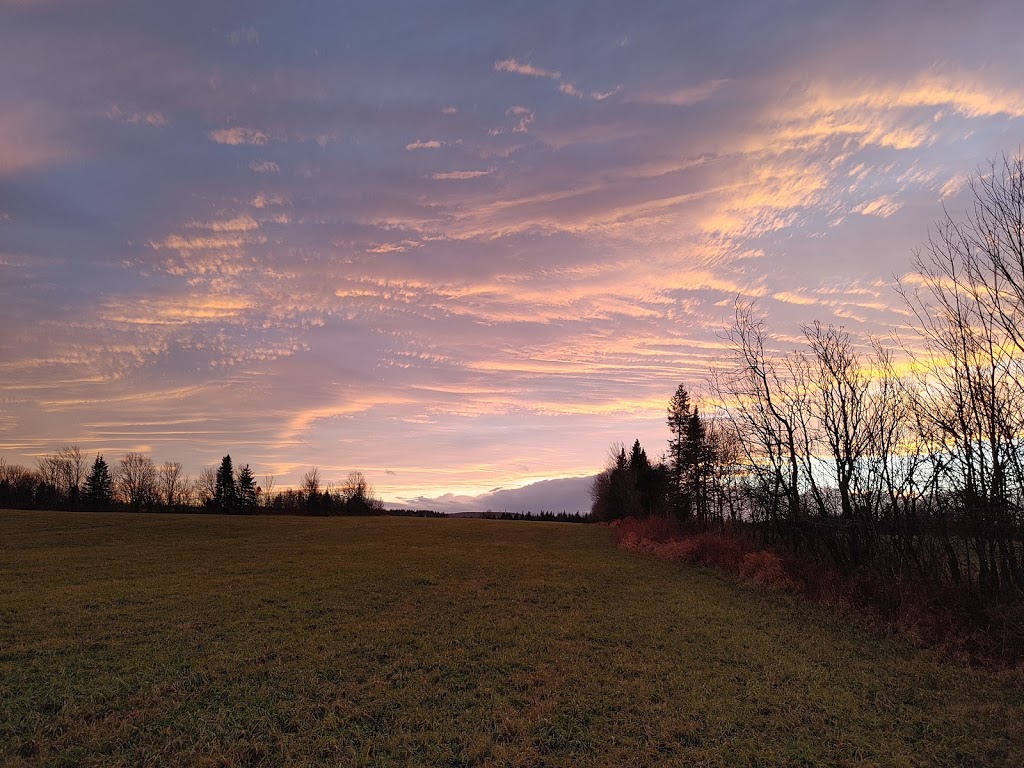 Ferme Goulab | 2382 2e Rang E, Saint-Joseph-de-Coleraine, QC G0N 1B0, Canada | Phone: (418) 423-4159