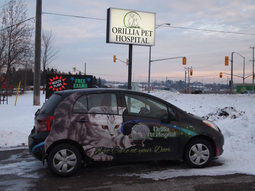 Orillia Pet Hospital | 8035 ON-12, Orillia, ON L3V 0G8, Canada | Phone: (705) 325-4224