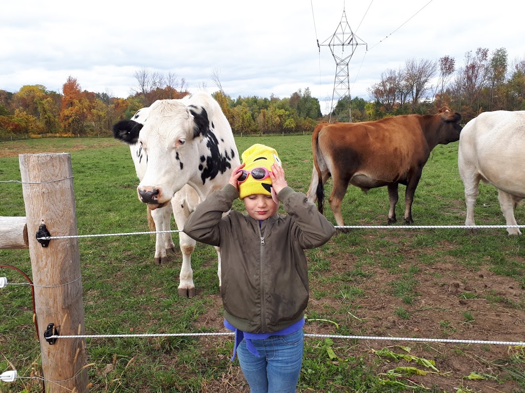 Wishing Well Sanctuary | 2710 Line 10, Bradford, ON L3Z 2A5, Canada | Phone: (905) 775-9179