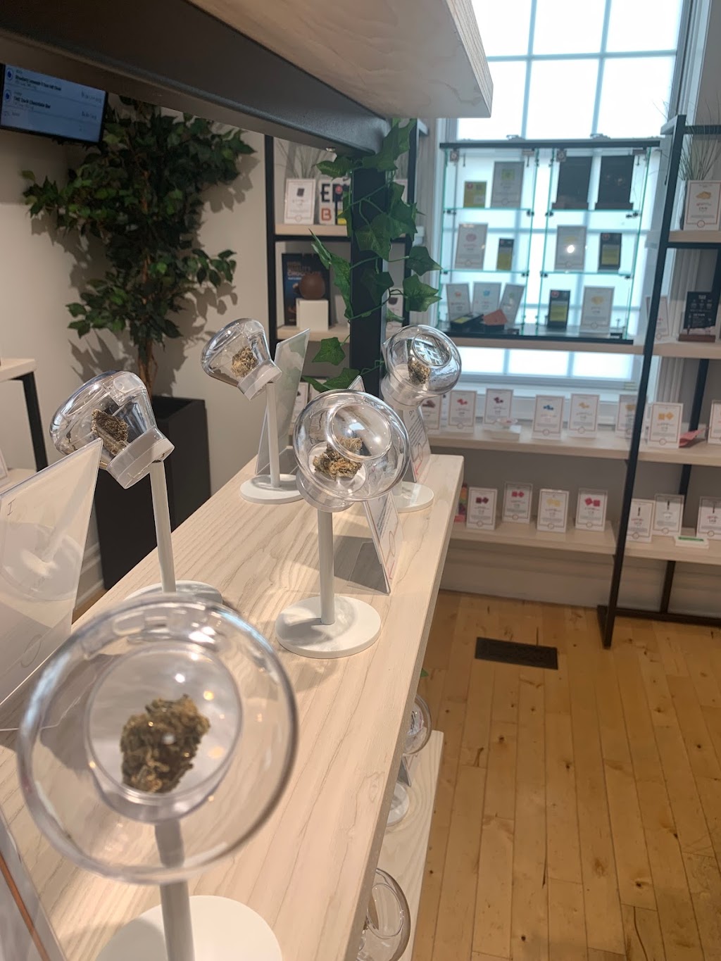 Alpha Cannabis | 118 Wellington St E, Aurora, ON L4G 1J1, Canada | Phone: (905) 503-2500