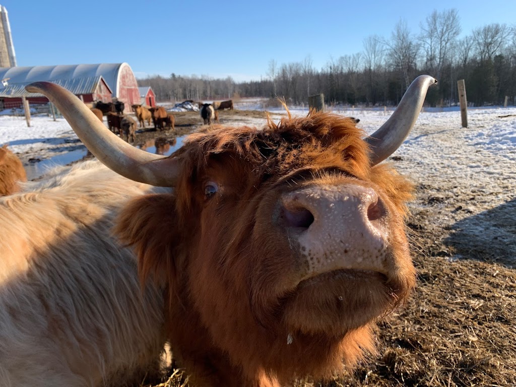 DNAs Farm | 45754 Fordwich Line, Clifford, ON N0G 1M0, Canada | Phone: (519) 573-5283