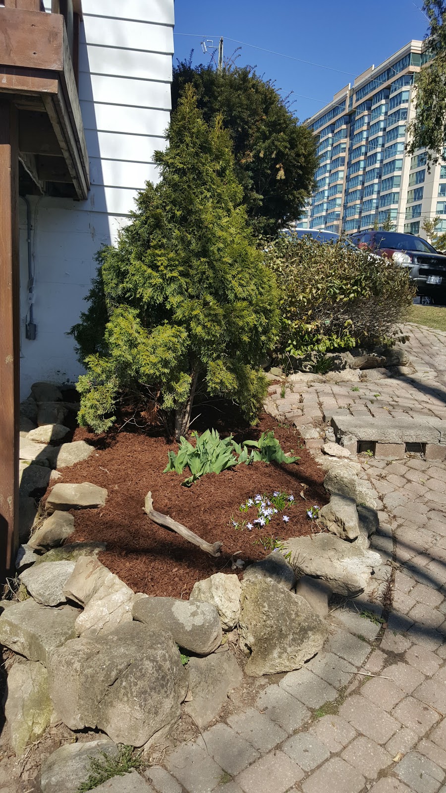 Dirt Cheap Inc. | 43 Manitou Dr, Kitchener, ON N2C 1K9, Canada | Phone: (519) 804-4300