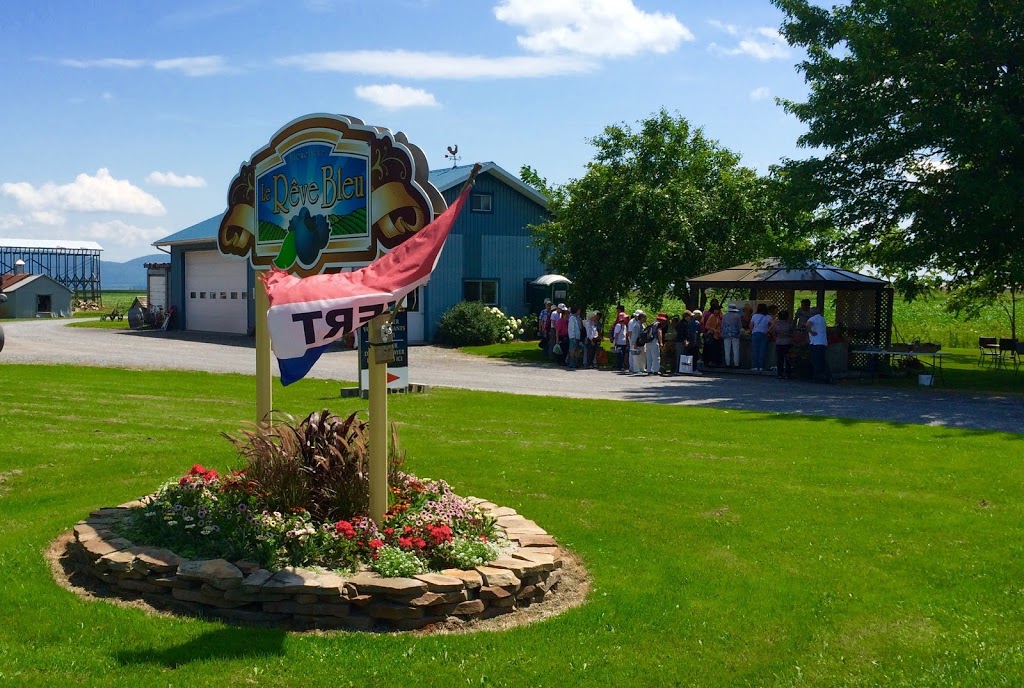Bleuetière Le Rêve Bleu | 386 Rang de la Presquîle, Saint-Damase, QC J0H 1J0, Canada | Phone: (450) 772-6309